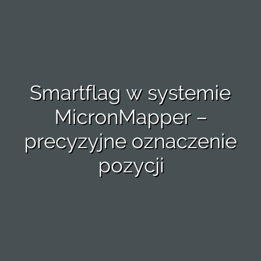 Smartflag w systemie MicronMapper – precyzyjne oznaczenie pozycji